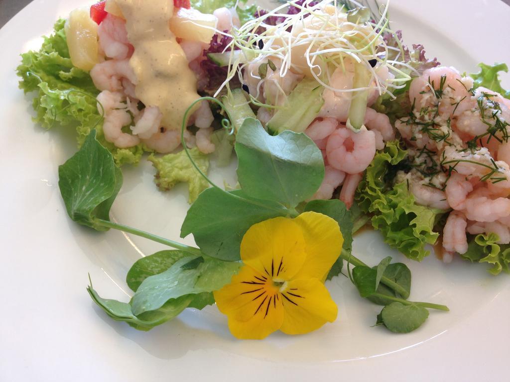 Solyst Kro- Restaurant Og Hotel I/S Åbenrå Extérieur photo